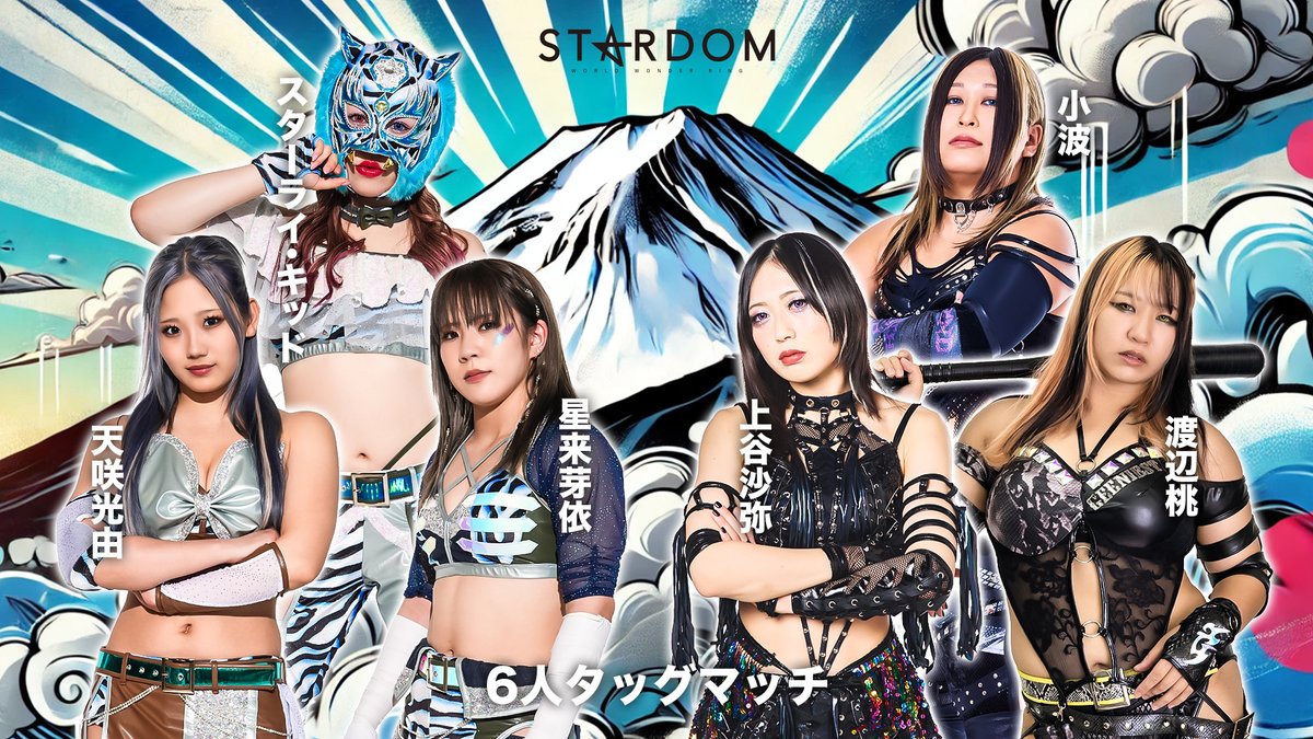 スターダム STARDOM 2023年 ひめか引退興行 VIP特典 限定ポスター スターダム STARDOM 2023年 ひめか引退興行 VIP特典 限定ポスター 引退式で