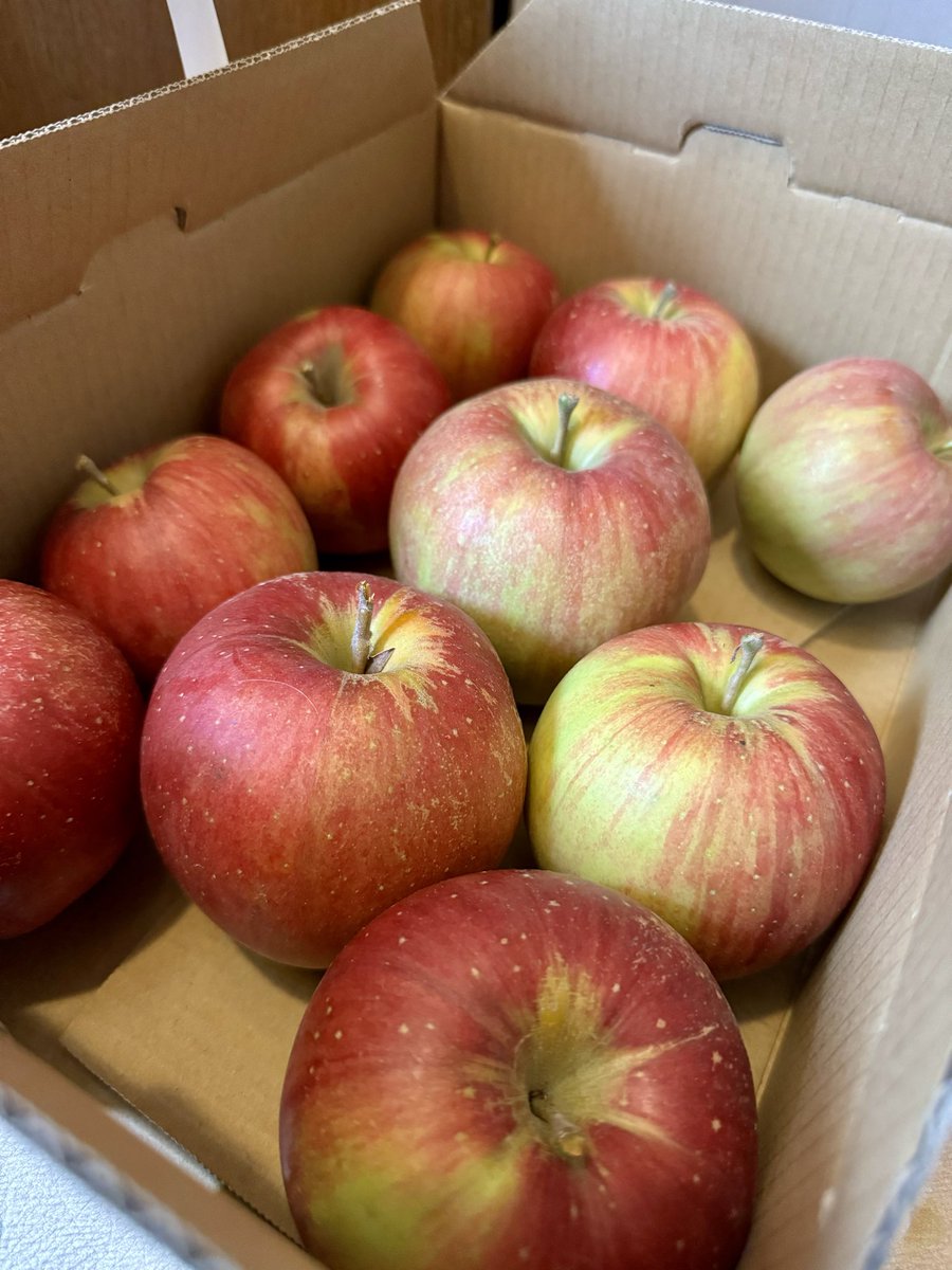 ちかりんご on X