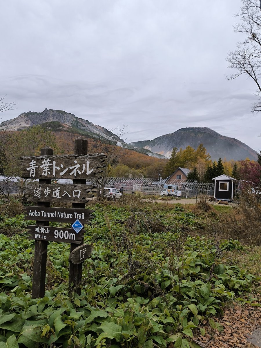 プリプリ (@mien3AWSJw9ErSw) / Posts / X