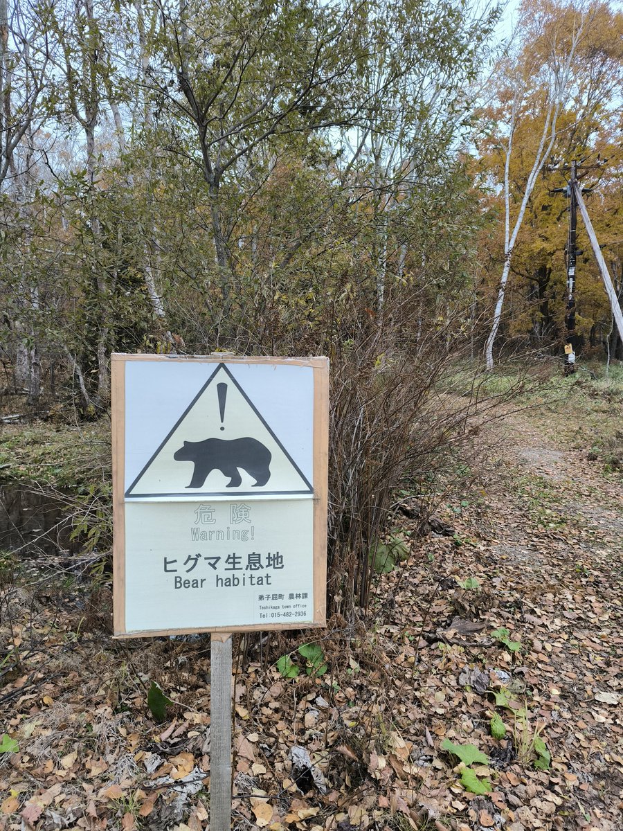 プリプリ (@mien3AWSJw9ErSw) / Posts / X