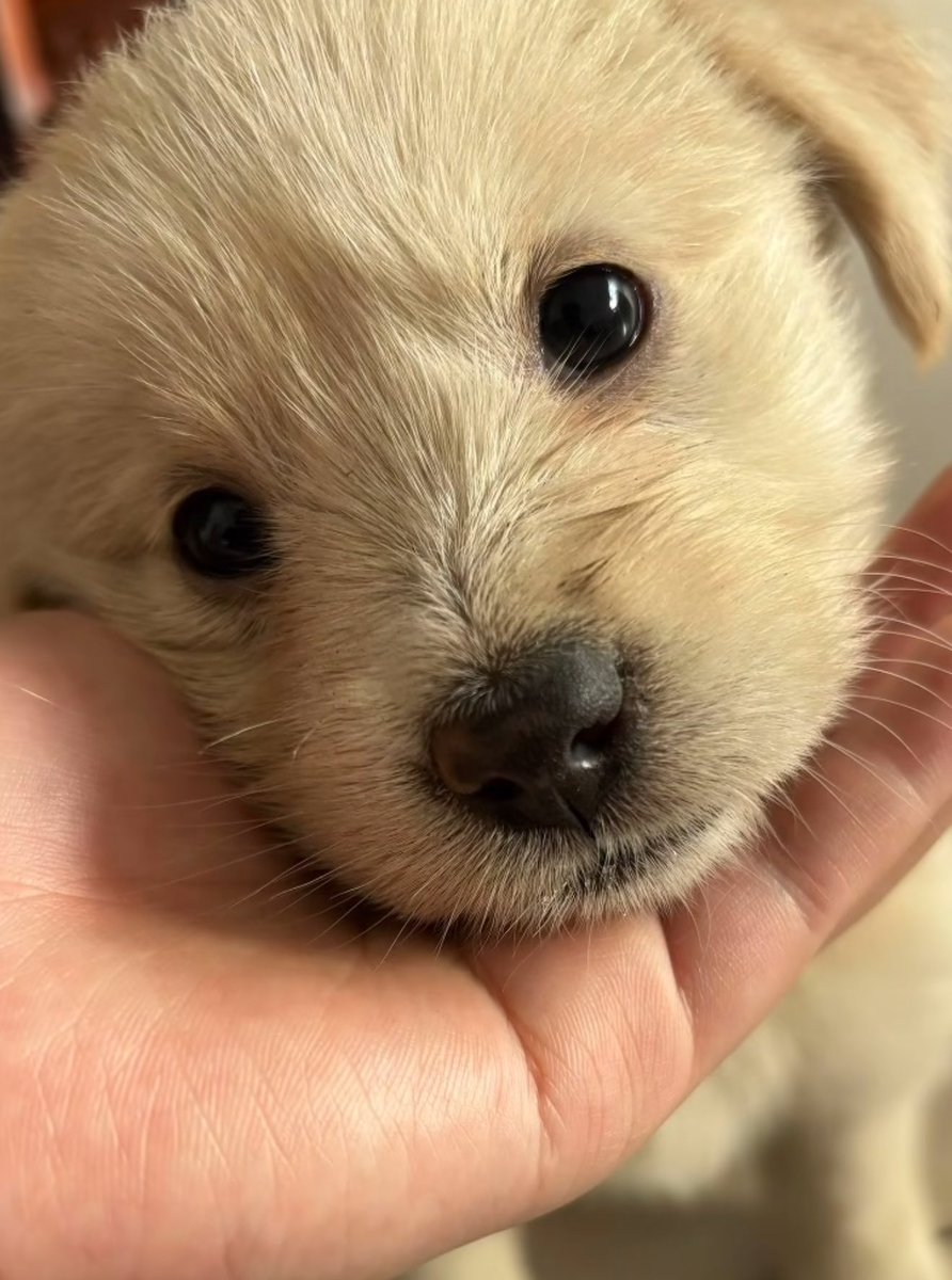 Animal_fanlover's tweet photo. Do you love me ? https://t.co/RZNEqamoZt