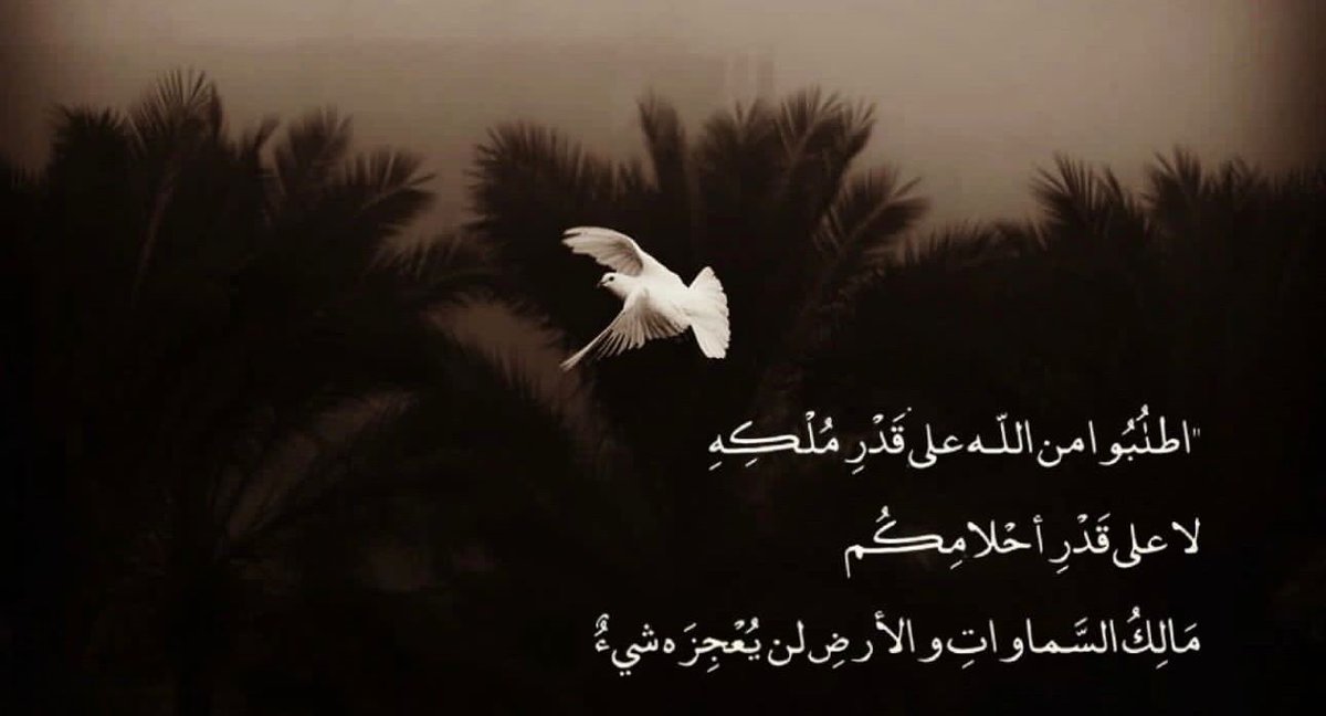 فــذكِّر (@thkkkrr_) on Twitter photo 