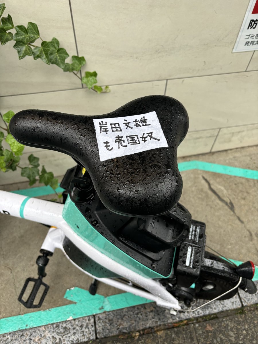 ちりりん様用です°・*:.。.☆ 愛車を並べてみた💚💙 #ZX25R #GSX250R #Kawasaki #カワサキ