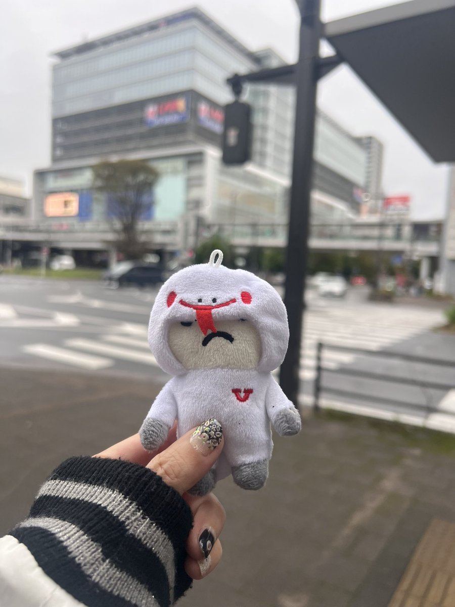 かよちゃん✾ かよちゃん (@gujonokayochan) / Posts / X