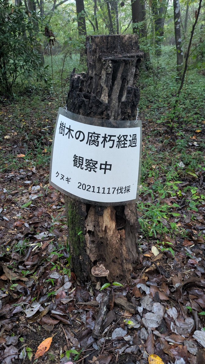 【美品】日本菌学史　2006 日本菌学会 日本菌学史 2006 日本菌学会