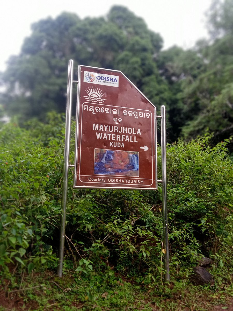 shan92648's tweet image. ମୟୂରଝୋଲ ଜଳ ପ୍ରପାତ ର ଆଖ୍ୟା ଦେଇ ପ୍ରଶାସନ ଜଳ ପ୍ରପାତର ବିକାଶ ନ କରି ଚୁପ୍ ଚାପ୍ ରହିଯାଇଛି। ରାସ୍ତାଘାଟ ବିପଦ ସଙ୍କୁଳ ଅବସ୍ଥାରେ ରହିଛି ଝରଣାର ପାଦେ ପାଦେ ବିପଦ ରହିଛି କିଛି ସୁରକ୍ଷା ବ୍ୟବସ୍ଥା ନାହିଁ @CMO_Odisha ଦୃଷ୍ଟି ଦିଅନ୍ତୁ @PravatiPOdisha @dcmo_pravati @odisha_tourism @koraputdm @BDO_Nandapur