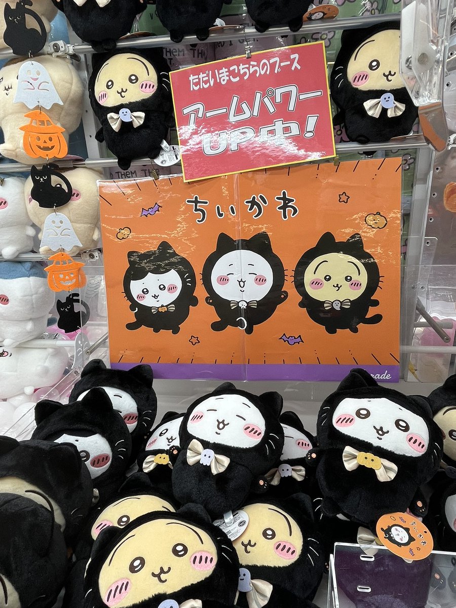 まるちわわんさま 専用です e28papaさま専用 KanazawaPOLES ZX-(8)POLHUB-(1)｜テルワールド