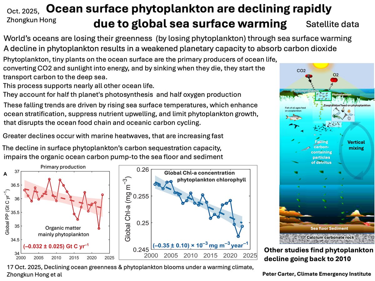 WORST NEWS YET: OCEAN PHYTOPLANKTON DECLINE
Satellite data shows a steady and rapid decline in global ocean surface phytoplankton, due to rapid ocean surface warming. 
Confirms the same findings going back to 2010. Phytoplankton are the basis of ocean life and so life on Earth.