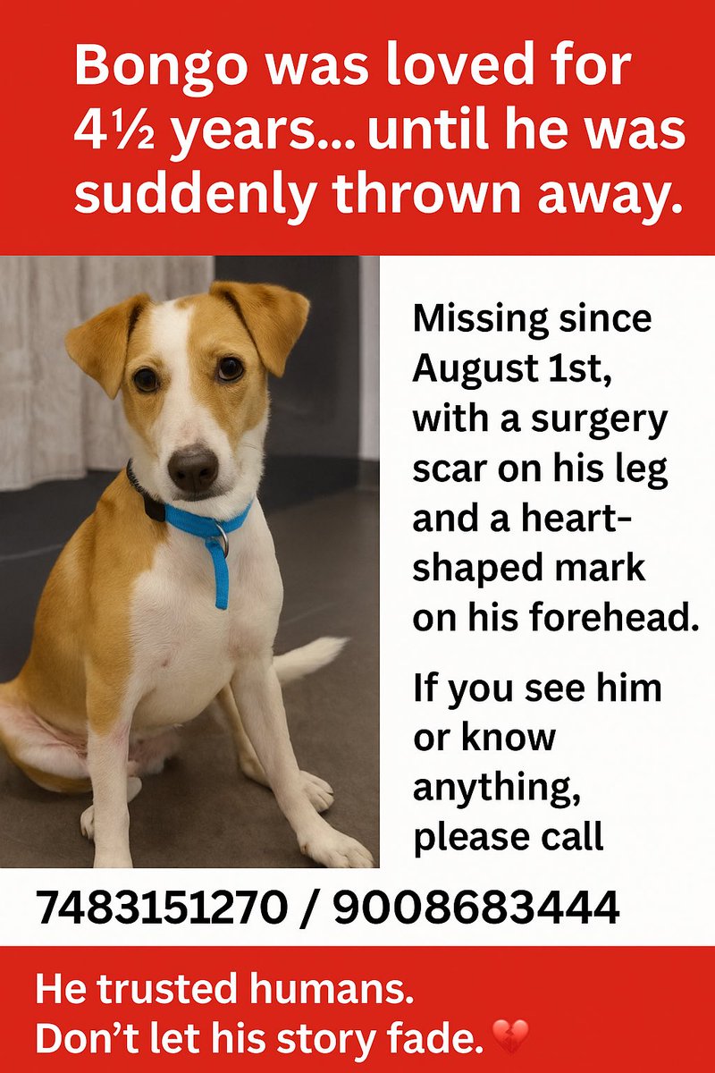 Jen Leon tweet media