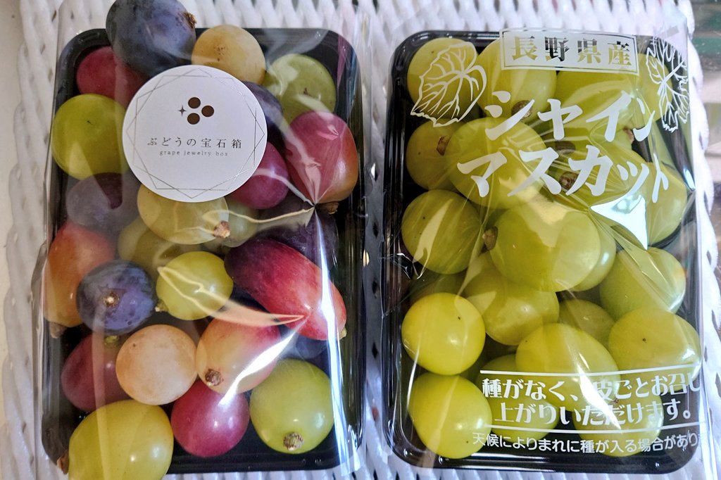 葡萄様 ノエル on X