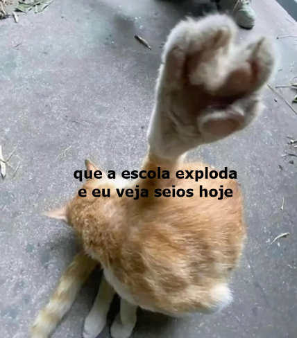 odeiootaco's tweet photo. https://t.co/8kQpgVlDvl