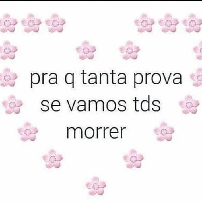 perfil dedicado a gatinhos e peitos (@odeiootaco) on Twitter photo 