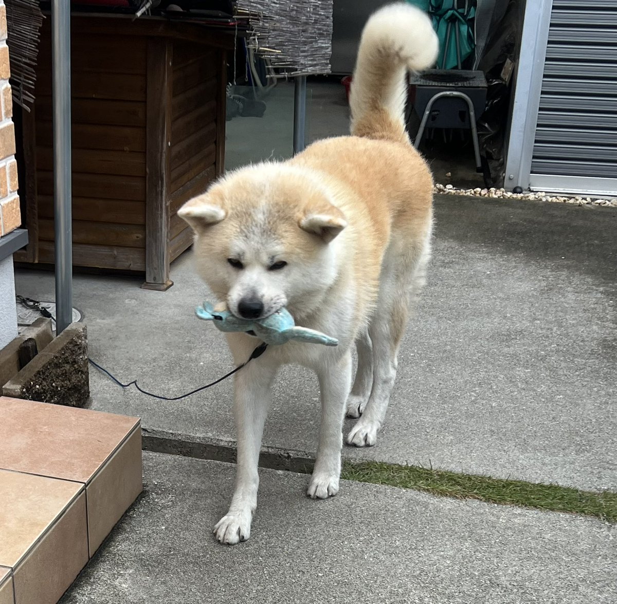 ْ (@65907_30_4) / Posts / X