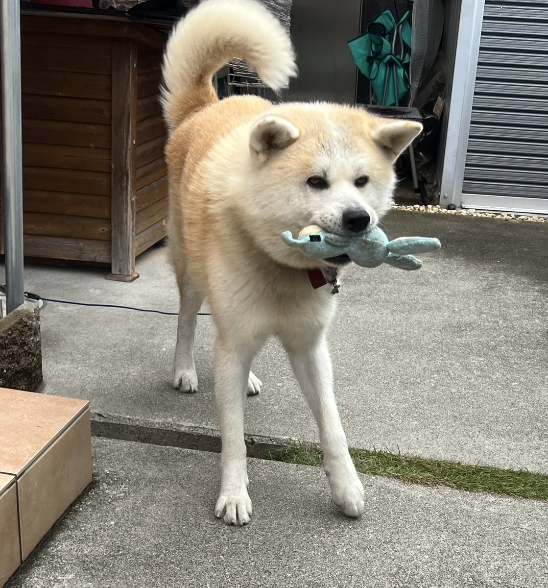 やま様❤️おまとめ専用ページです。1/26まで♡ ْ (@65907_30_4) / Posts / X