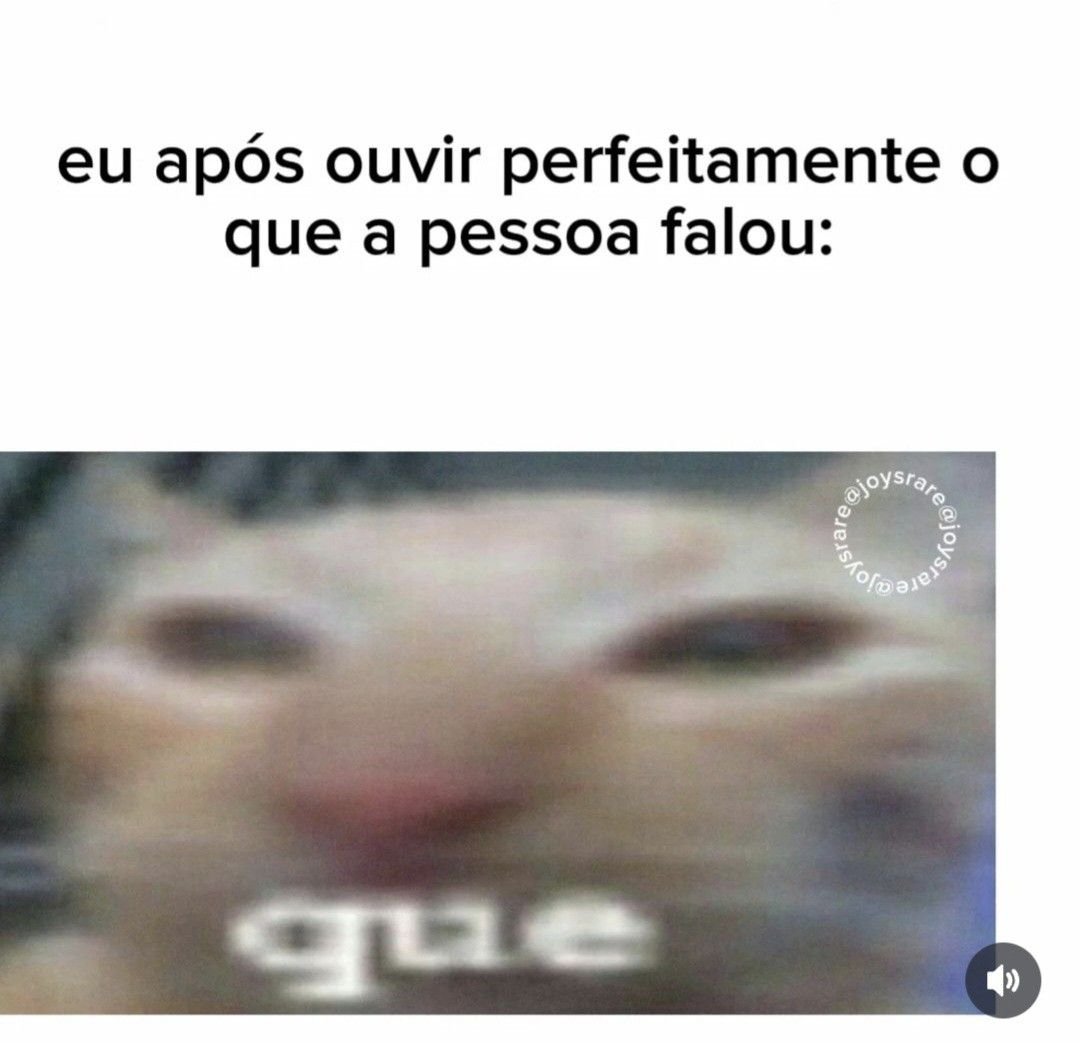 perfil dedicado a gatinhos e peitos (@odeiootaco) on Twitter photo 