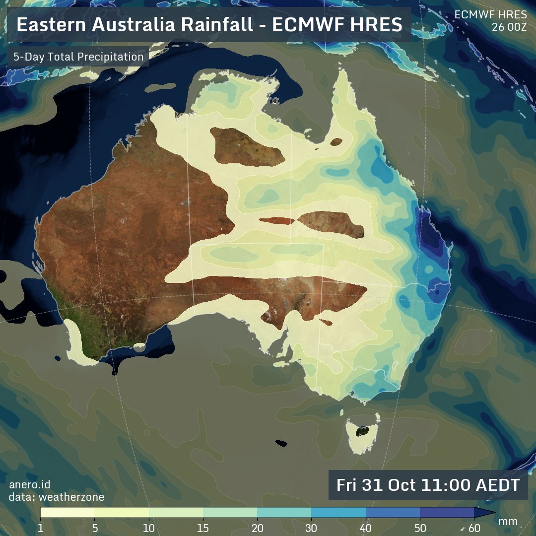 Andrew Miskelly tweet media