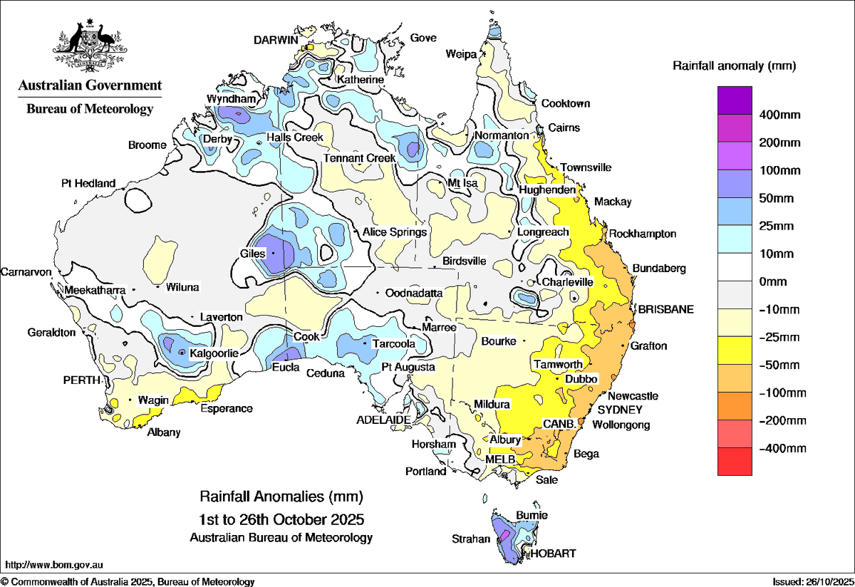 Andrew Miskelly tweet media