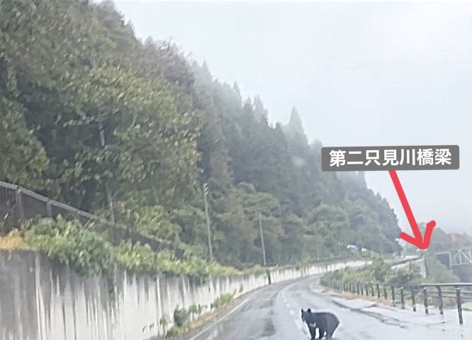 奥山龍峰旅日記 奥山龍峰旅日記