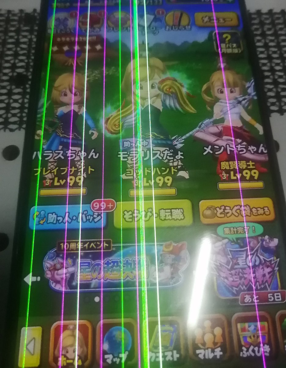 モラリス🐿☆星ドラ(終)だょ🎉 tweet media