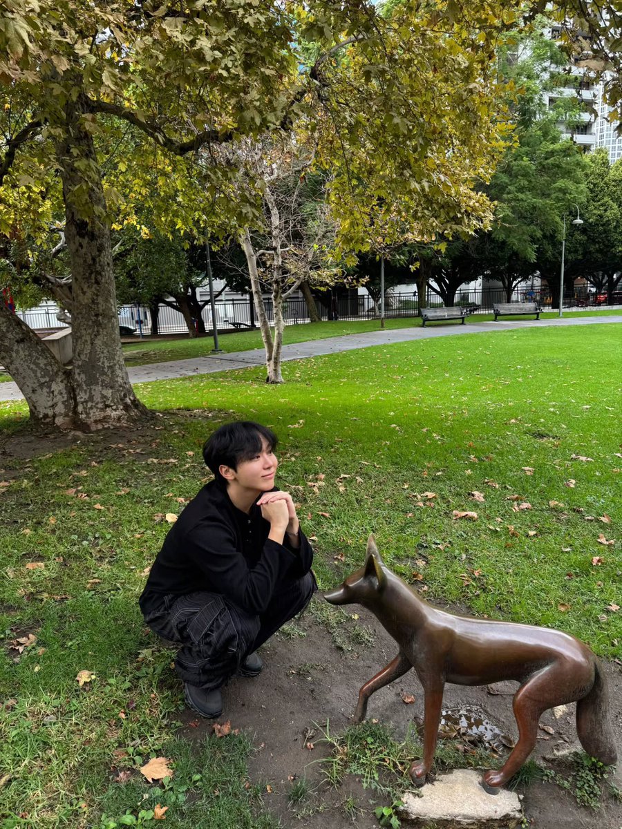 BOO STAGRAM (@_pledis_boos) on Twitter photo 