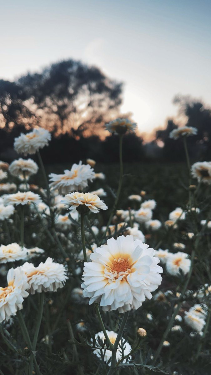 Photography📸🤍