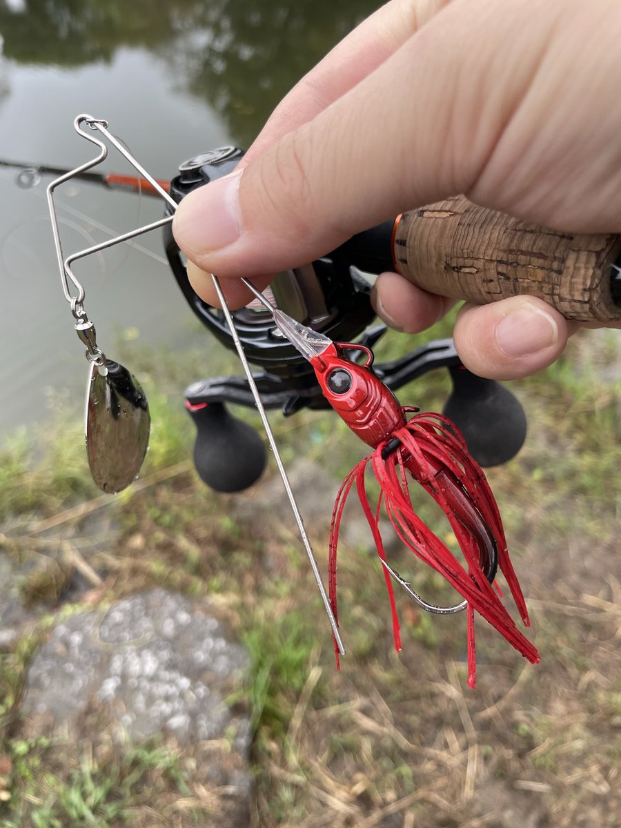 釣りーマン (@LtCAoSwmfm6410) / Posts / X