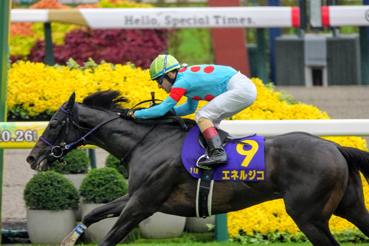 あき⭐︎2点おまとめ しおしお@秋例お36b (@betabetarimocon) / Posts / X