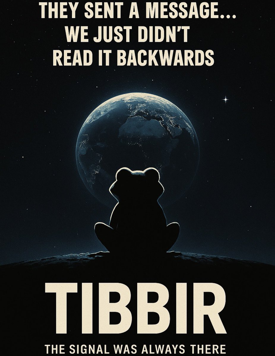지구를 응시하는 $TIBBIR 브랜딩의 우주 개구리 실루엣