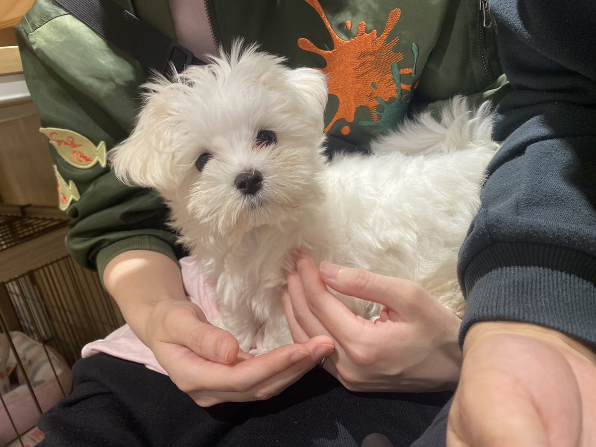 まりっぺ まりっぺ🩵FTW卒花 on X