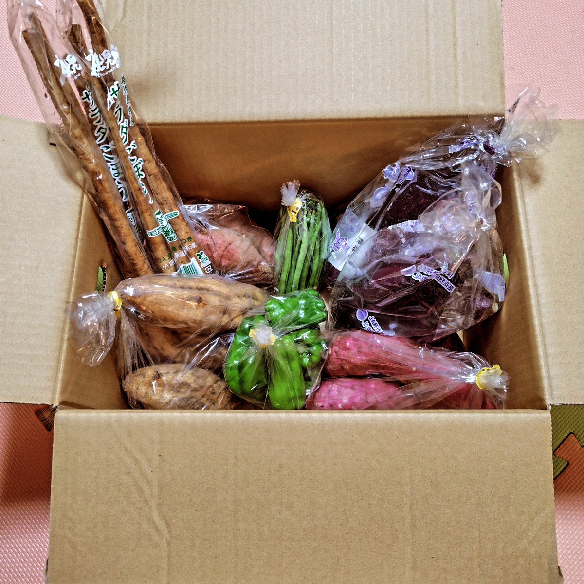 フォーリィン (@forline03106402) / Posts / X