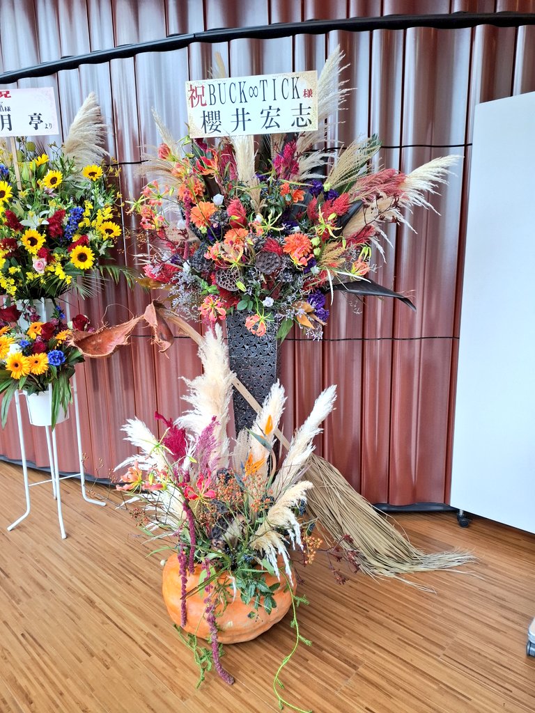 お花ページ Amazon.co.jp: O-633 立体お花シールクラフトパンチ ペーパー