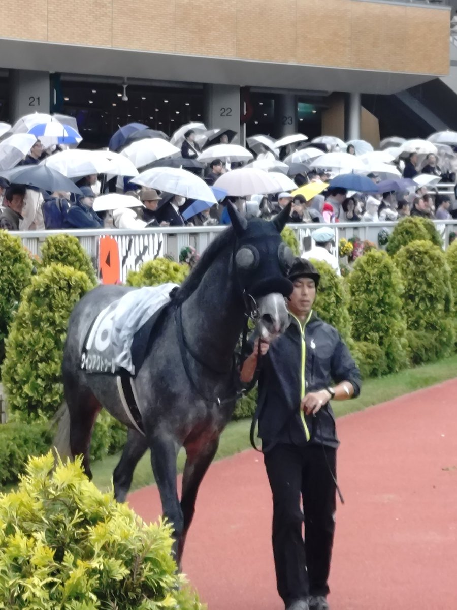 ゆーりん (@chan_yurin1104) / Posts / X