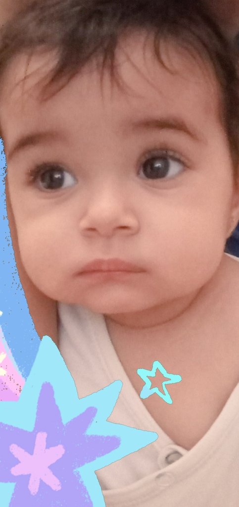 abeer_kewan's tweet photo. القط بتاعي وهو شايل الهم من يوم ما جه https://t.co/8ggki0HwZJ