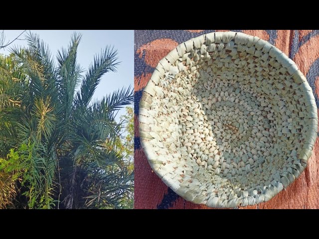 जब मैं छोटा बच्चा था 

दादी और मम्मी खुद से "यह" खजूर के पत्तों को जोड़ कर बनाया करती थीं।

पर अब तो" हाट पाट" ने इसकी जगह ले ली है।

क्या आपने भी इसे बनाते देखा है।

हम तो "डलिया" के नाम से जानते हैं।

आप इसको क्या कहते हैं?