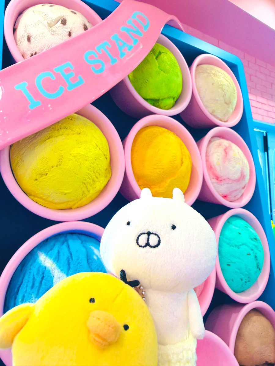 うさまる　ソイネショップ USAMARU POPUP STORE 京都2/27～3/10