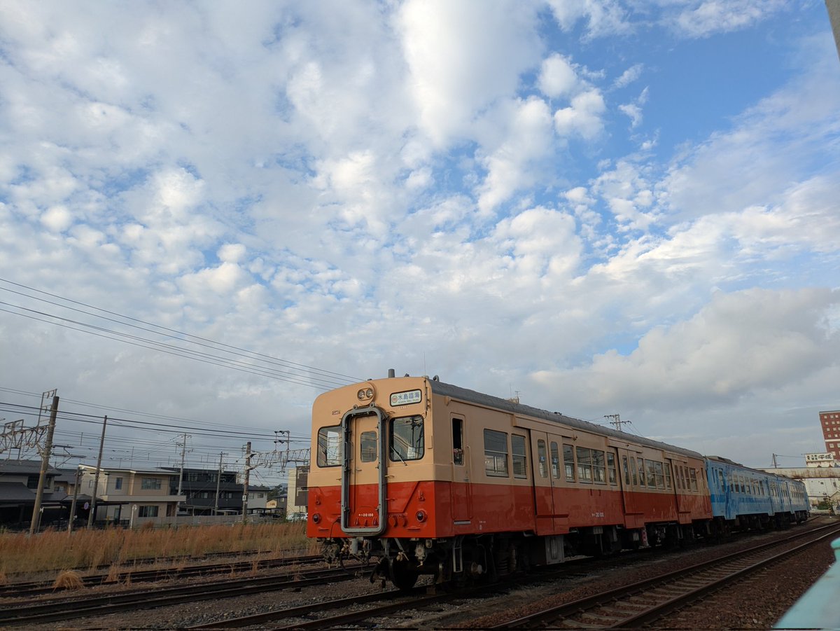 ビニマル (@B2010tetsuota) / Posts / X