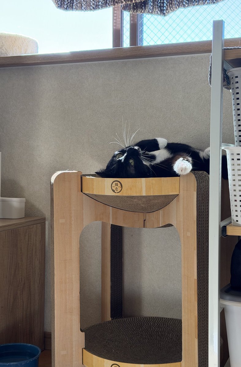 めぐ美ページ めぐみ♂ on X