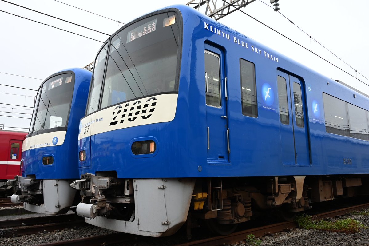 blue sky　プルソワン2点 Amazon | Strymon/blueSky V2 ブルースカイ リバーブ | ディレイ