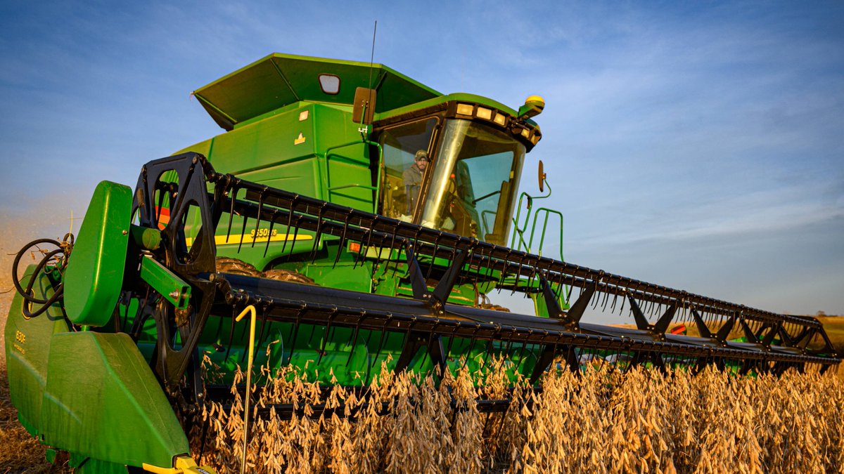 It’s harvest season! 🌿✨
Across the U.S., soybean farmers are gathering the fruits of a year’s hard work — producing one of the world’s most versatile and sustainable crops. 
Learn more about soy’s journey from farm to table at soyconnection.com
#USSoy #SoyConnection