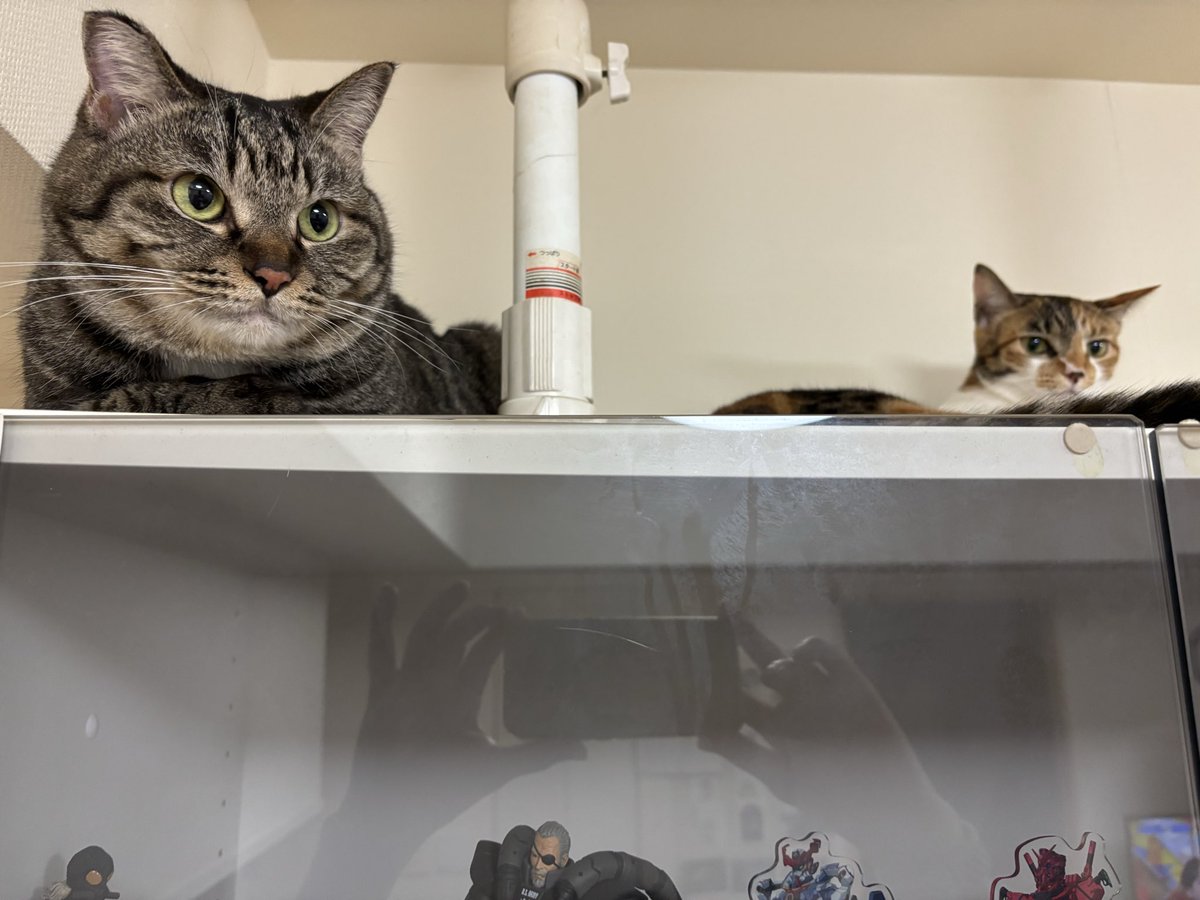 お馬さん
菊花賞はメイン予想全部外れてエリキングとお嫁さんが気になってたエキサイトバイオのワイドで命拾い
俺だけ当たってるのが続いて気まずいぞ
来週天皇賞は久しぶりのオフ対戦(WINS)です