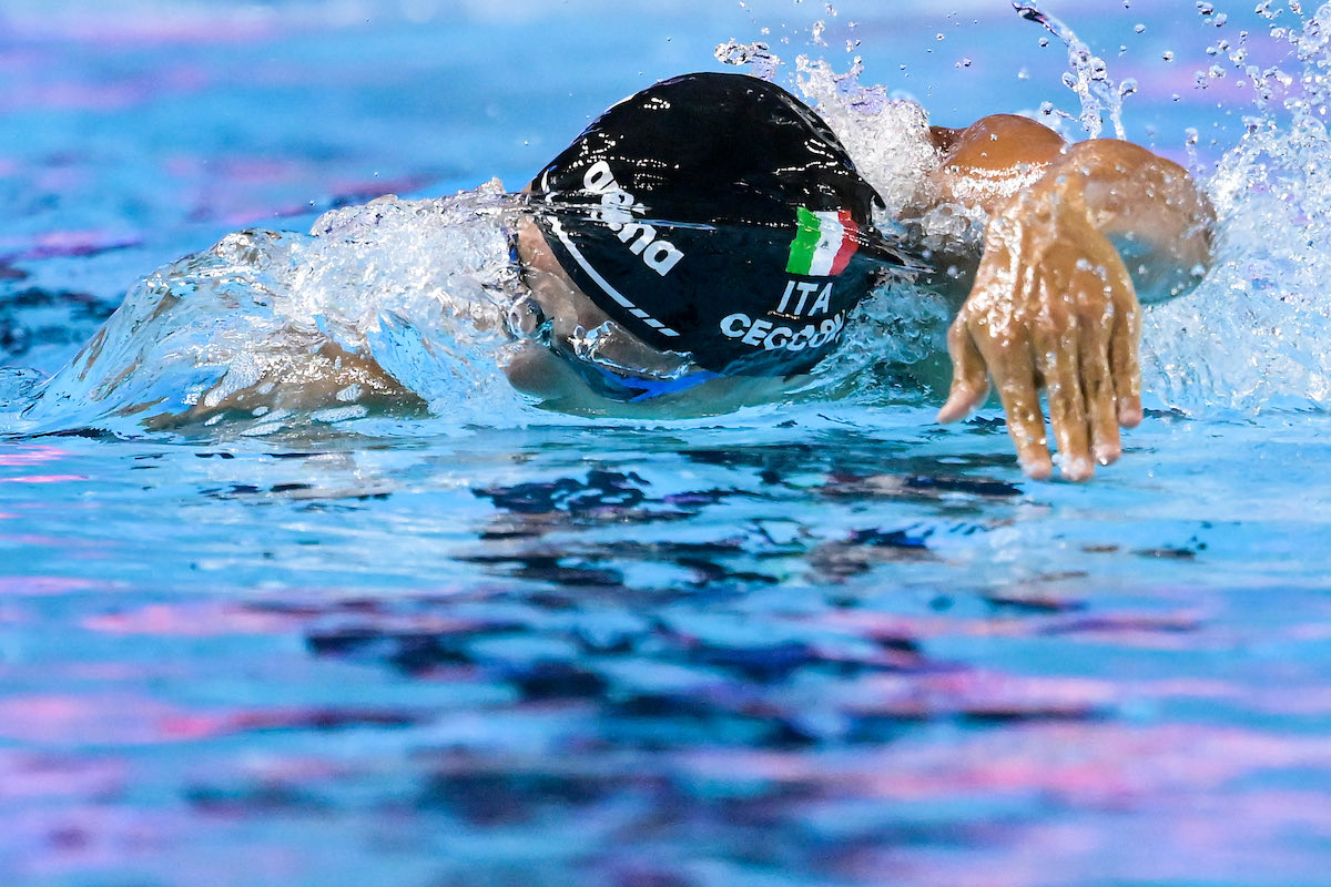 🔥 ALTRO RECORD DI CECCON!

😎 Thomas Ceccon nuota il record italiano in vasca corta nei 200 stile libero! Nell’ultima tappa della World Cup a Toronto, l’azzurro tocca 4º in 1’41”60, un centesimo sotto il precedente primato di Carlos D’Ambrosio ⏱️

📸 <a href="/DBM_Media/">DBM Deepbluemedia</a>
#nuoto #swimming