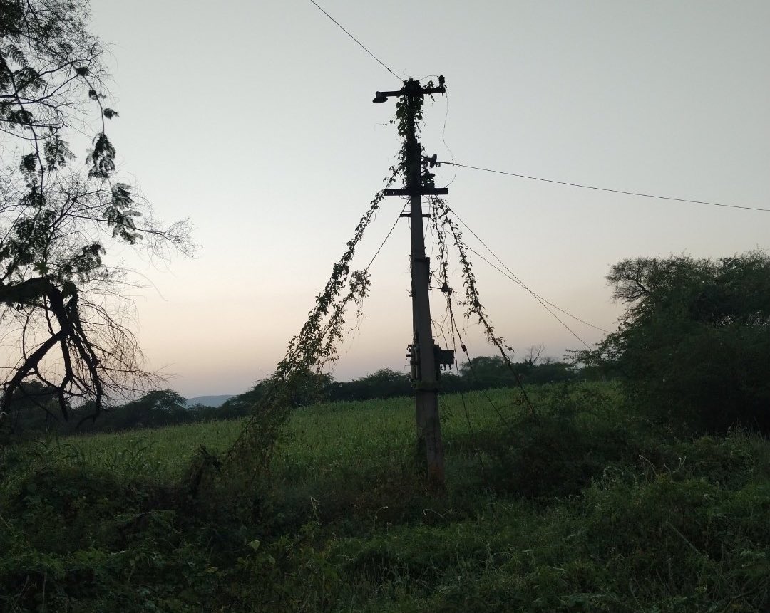 ग्रामीणों की गुहार सुनो 👇
राम सेतीवास ग्राम पंचायत खरेड़ा तहसील टोड़ा रायसिंह जिला टोंक मे तालाब किनारे लगे ट्रांसफार्मर मे 3,4मवेशी भी मर चुके है ओर खेत मे फसल को काटते समय ओर फसल को पानी पिलाते समय 2,3 बार करंट आ चूका है कोई दिन बड़ा हादसा हो सकता है विभाग इस ट्रांसफार्मर को