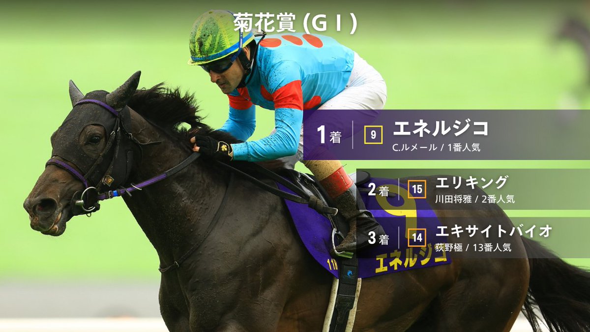 管理番号1234 競馬 タイトルホルダー ウインドブレーカー 21年菊花賞