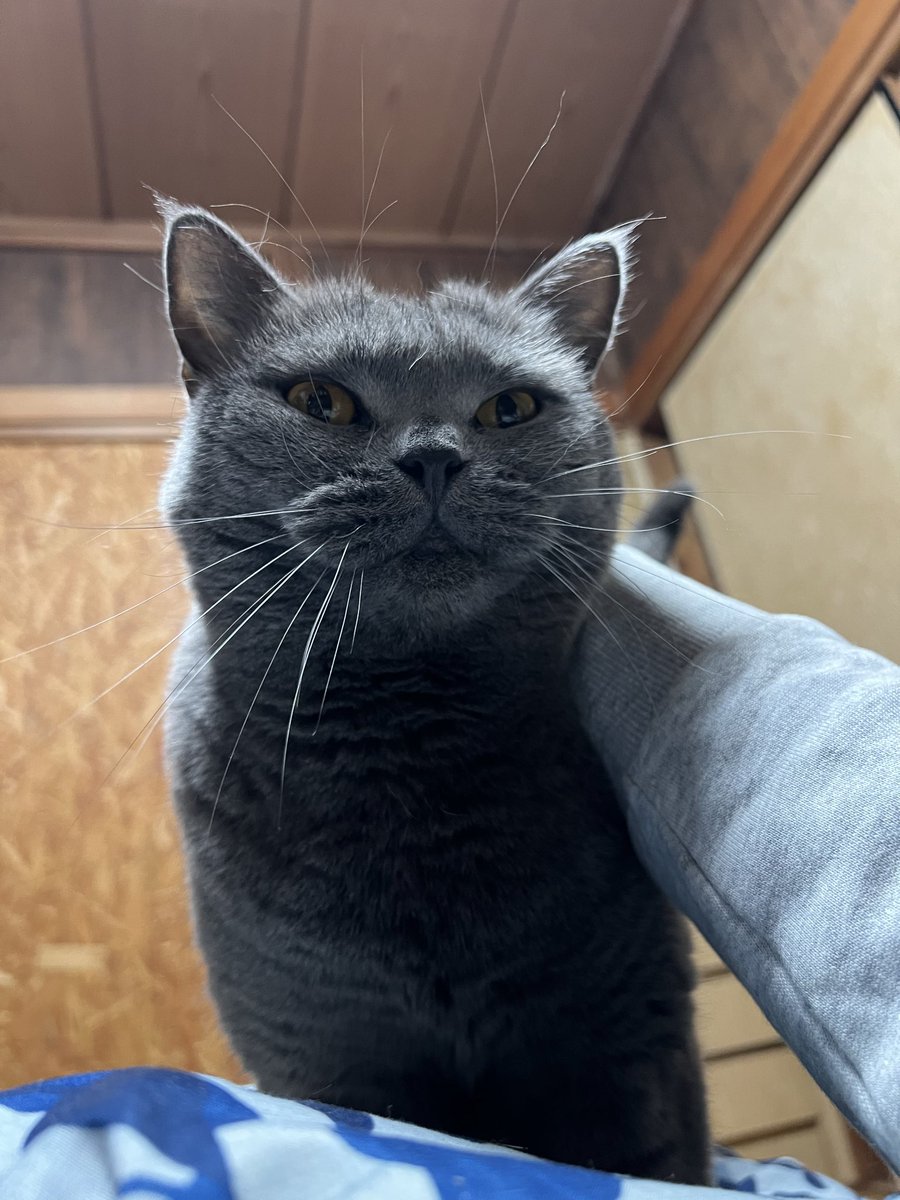 にょーたろー (@sukeyotafumi) / Posts / X