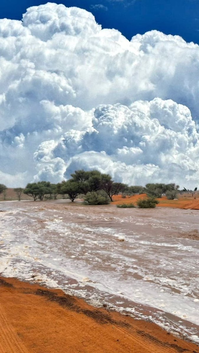 اللهم أسقينا الغيث ولا تجعلنا من القانطين 🌧️