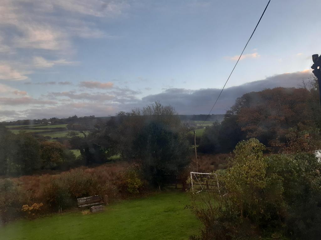 What a lovely sleep!
So nice amd peaceful down in Devon this morning 🌄 
Have a good day everybody doing what you love doing