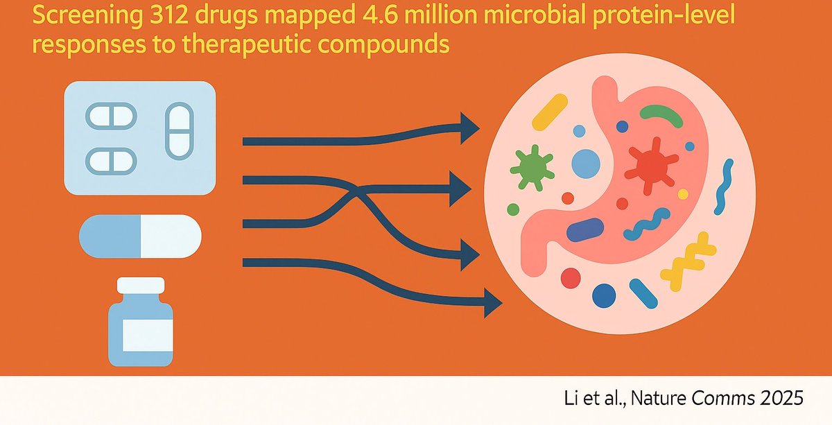 From #drug cabinet → gut #microbiome: screening 312 therapeutic compounds, we mapped 4.6 million microbial protein-level responses to reveal how our drugs don’t just target us, they hit our gut microbes too. 
<a href="/NorthOmics/">NorthOmics lab</a>
<a href="/TheQuadram/">Quadram Institute</a>
rdcu.be/eMmcT