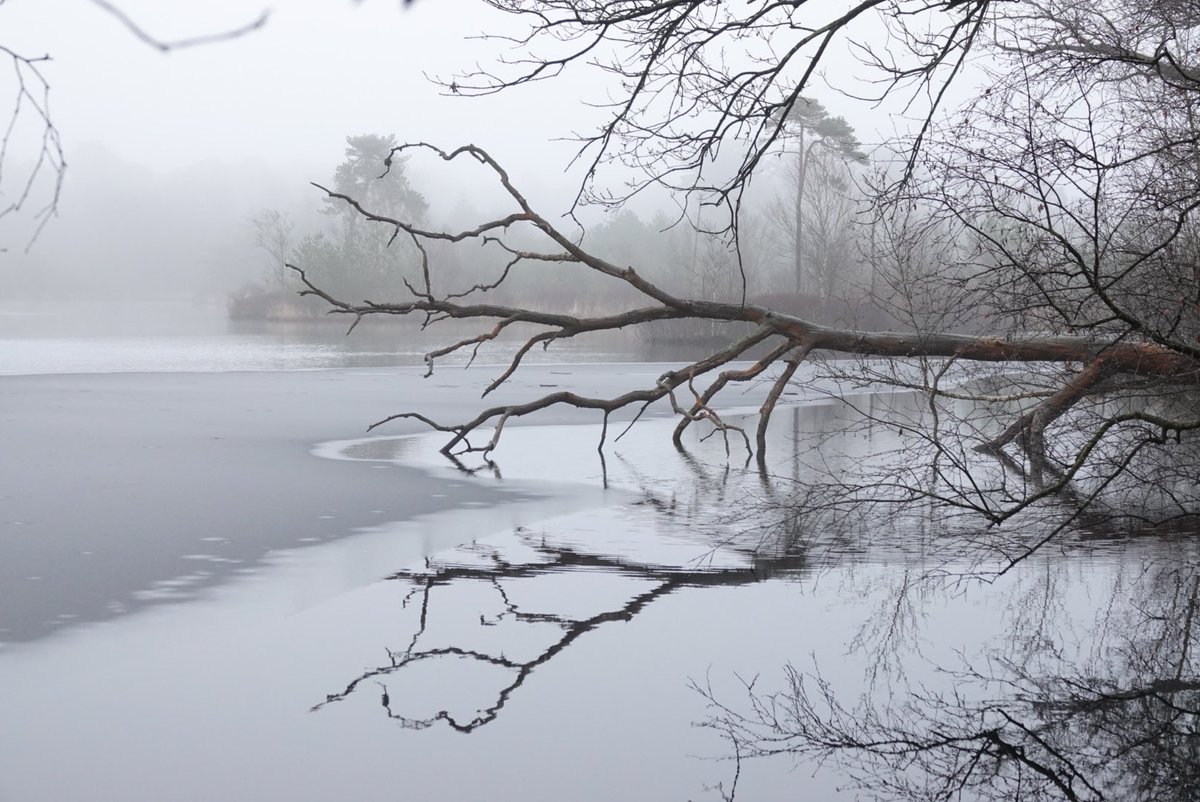 #fot_O_ktober #stilte <a href="/jolandabrwr/">JoLaNDa_hobbyfotograaf</a>