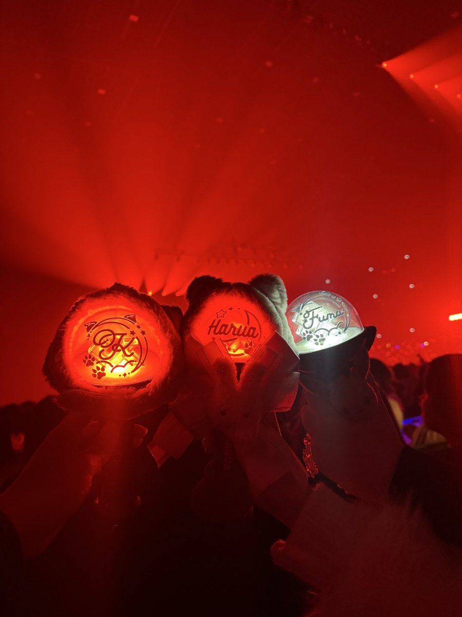 앙콘 너~~무 재밌었다!