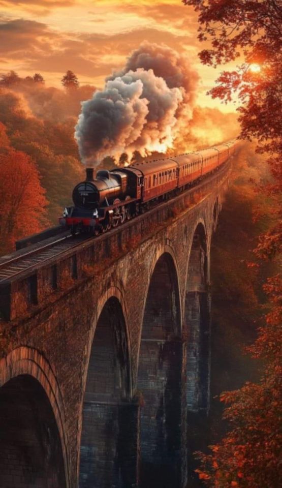fraveris's tweet image. &quot;Our life is a constant journey, from birth to death. The landscape changes, people change, needs transform, but the train continues. Life is the train, it is not the station.&quot; 

~ Paulo Coelho